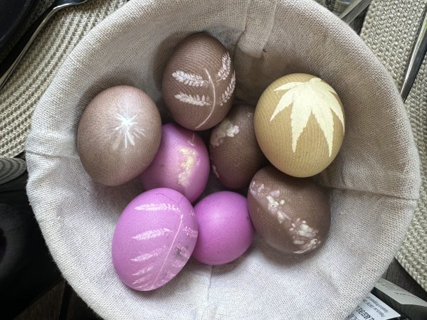 Especial de Pascua - Image 2